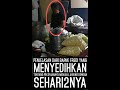 Pengorbanan bapak ferdy sehari2 yang menjual jagung rebus di Malaysia