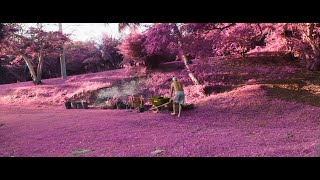 Infrared Cinematography Imitation in Adobe After Effects