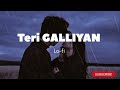 TERI GALLIYAN(slowed-reverb)|Ankit Tiwari|Lo-fi songs| DREAMYvibes