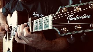 Buster Bee - Fingerstyle Guitar - Timberline T90 Acoustic - Jamie Dupuis