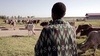 ALL IN: How Verde Beef created 400 skilled jobs in Ethiopia (Faith \u0026 Co)