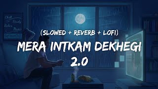Mera Intkam Dekhegi 2.0 - Lofi Mix | Slowed + Reverb | New Lofi Songs | Anand Raaj Anand | SSR Lofi