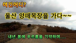 울산 율동 한바퀴 간단하게 돌았습니다~~