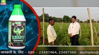 Multiplex Products for Tomato