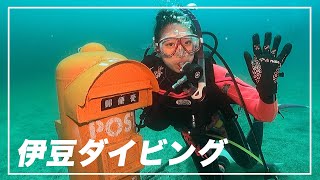 【ダイビング】海の中にポスト！？伊豆の海を大公開！！！【Vlog】