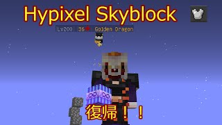 【Hypixel Skyblock】Ironmanの今までの進捗やこれからについて！！