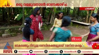 വള്ളുവനാടൻ ഓണക്കാഴ്ചകൾ... കുടുംബങ്ങളിൽ ഒത്തുചേർന്ന് മലയാളികൾ