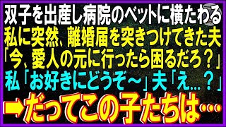 【スカッとする話】双子を出産し病院のベットに横たわる私に突然、離婚届を突きつけてきた夫「今、愛人の元に行ったら困るだろ？」私「お好きにどうぞ〜」夫「え…？」➡だってこの子たちは…【修羅場】