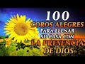 Coros Pentecostales - 100 COROS PARA LLENAR SU CASA CON LA PRESENCIA DE DIOS - Himnos Cristianos