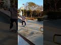 skateboarding sw fs tailblunt