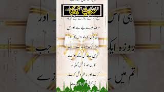Huzoor Akram صne  Hazrat Abu hurairah R.A. Se Irshaad Farmaya | Urdu Status Videos 4k Full Screen