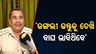 ‘ଜଙ୍ଗଲୀ ଜନ୍ତୁକୁ ଦେଖି ବାଘ ଭାବିଥିବେ’ | Odisha Reporter