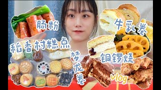 【就酱吃吃】18种不同口味的稻香村糕点~墨子酥赛高!!打卡新品梦龙卷 牛乳卷 铜锣烧 近期上头的脆脆藕片~红米肠粉