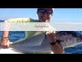 marine biology at home 9 introduction to fisheries