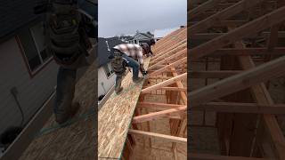 Pt. 1 how to sheet a roof #construction #framing #constructionequipment #diy #framinglife