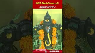 నీటిలో తేలియాడే రాయి ఇదే ఎప్పుడైనా చూసారా | #specialganeshchaturthi #ganeshchaturthi #ytshorts | ABN