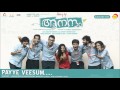 payye veesum film aanandam music by sachin warrier new malayalam songs