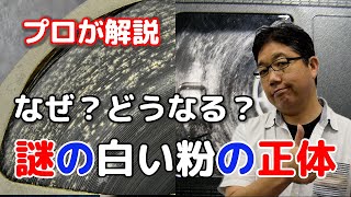 視聴覚資料アーカイブ講座 第6回「視聴覚資料を襲う  謎の白い粉の正体を暴け！」