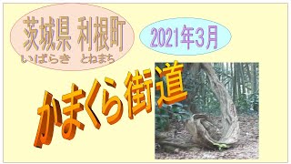 利根町のかまくら街道　2021年3月