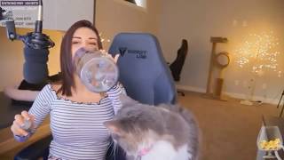 Alinity Throws Her Cat...Twitch Does Nothing