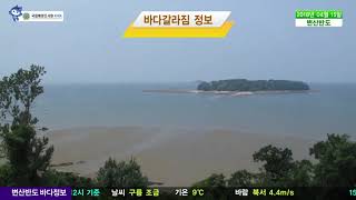 [변산반도 바다갈라짐 정보]  4월 15일/ 해양방송 On바다