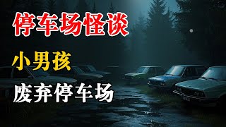 2则有关停车场的恐怖怪谈故事丨恐怖故事丨真实灵异故事丨深夜讲鬼话丨故事会丨睡前鬼故事丨鬼故事丨诡异怪谈