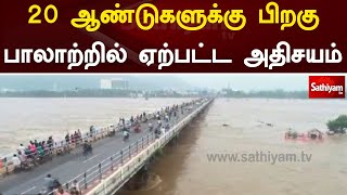 20 ஆண்டுகளுக்கு பிறகு பாலாற்றில் ஏற்பட்ட அதிசயம் | vellore | palar river | palar flood |sathiyam tv