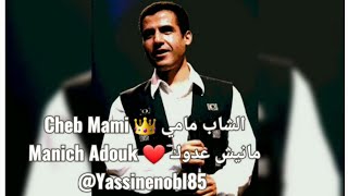 Cheb Mami 🤍 Manich Adouk 💕 مانيش عدوك يا عمري 🎶 @Yassinenobl85