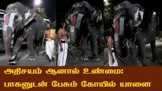 வீட்டுக்கு வரமாட்டேன் போ... குழந்தை போல அடம் பிடித்த ஆண்டாள்..! | பாகனுடன் பேசும் கோயில் யானை | 96tv