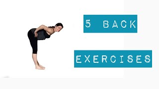 15 Minutes Bodyweight Back Exercises for Beginners to Advanced Trainees /  Posture Exercises