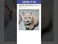 편의점 레전드 사건 모음ㅋㅋㅋ