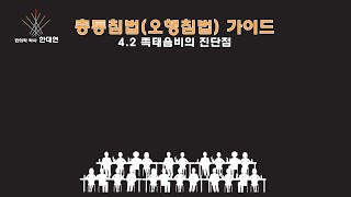 총통침법(오행침법) 4.2 족태음비의 진단점