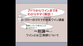 【ワイン総論②】ワインエキスパートDr.ゴローのゴロと理論でわかるワイン講座