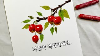 오일파스텔로 꽃사과 그리기.