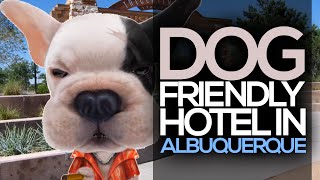 Dog Friendly Hotel in Albuquerque