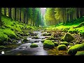 relaxing melodies 🍃 release pain and welcome positivity 4