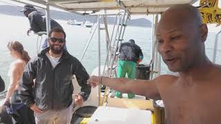 The Last Prince of Atlantis Documentary Cage Diving with Great White Sharks in Shark Alley