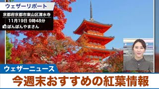 今週末おすすめの紅葉情報