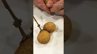 Longan or mata kucing?