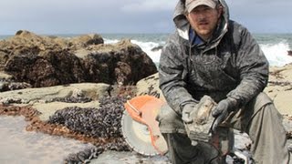 Unearthing Fossil Whales with Nick Pyenson