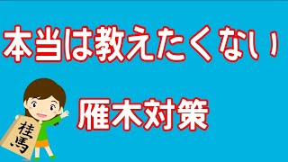 【将棋】一瞬で勝てる雁木対策【級位者向け】