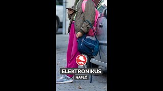 Elektronikus napló