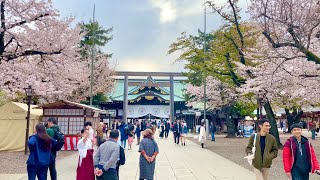 【4K】Yasukuni Shrine Walking with Cherry Blossom ⛩🌸　靖国神社で桜を見ながらお散歩