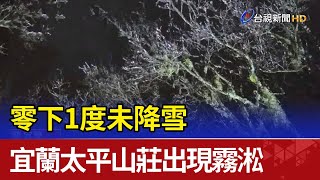 零下1度未降雪  宜蘭太平山莊出現霧淞