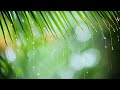 Rain Sounds For Sleeping - Relaxing Piano Music to Reduce Stress and Anxiety - Deep Sleep