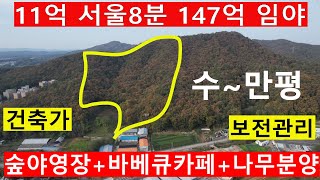 11억 수~만평 서울근교싼임야 공시가22억~ 시세147억 전원생활 숲야영장+탠트고기집 힐링숲6차산업 숲카페 수목장기념목나무분양 오리주물럭 땅과함께(새희망을)경매임야공매임야나도땅주인