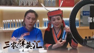 饮水思源！90后瑶族妹子辞职返乡创业为家乡谋出路 | 「三农群英汇」20210603