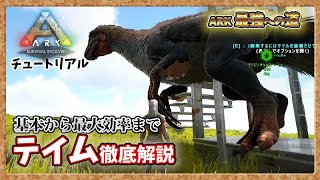 【ARK:ﾁｭｰﾄﾘｱﾙ】基本から最大効率まで「テイム」徹底解説【PVE】【最強への道】