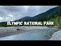 Explore Olympic National Park - How Rainforest, Ruby Beach, Rialto Beach