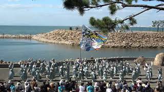 旅鳥【Re SONARE】泉州YOSAKOIゑえじゃないか祭り2024（石舞台会場）